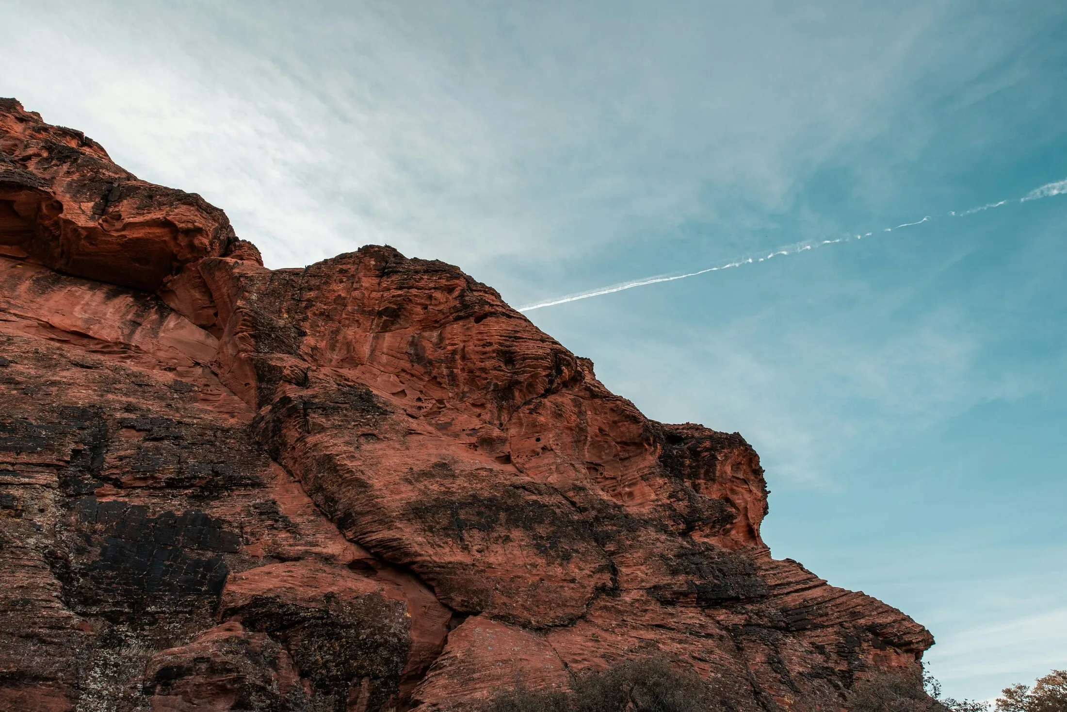 Red sandstone cliffs under a blue sky near St. George, Utah — illustrative photo of the Mojave-edge landscape this site's tree guidance is written for.